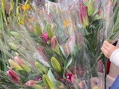 -越秀西湖花市(广州城市广场花卉店)