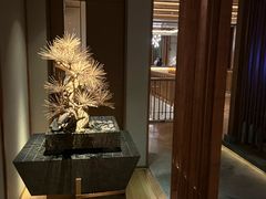 -浅深(北京北四环精品店)
