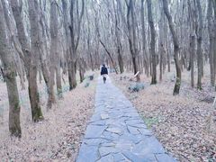 -同里国家湿地公园