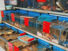 -金海湾海鲜排档(朱家尖店)