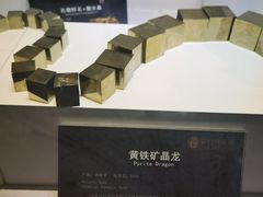 -中华赏石园