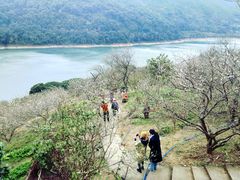 -广州市流溪河国家森林公园