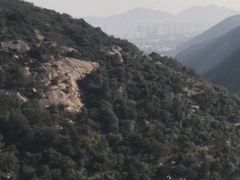 -大罗山风景区