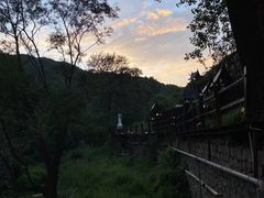 -Local泰莲庭(虹鳟鱼店)