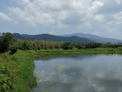 -御霞苑泥烩鸡休闲农庄