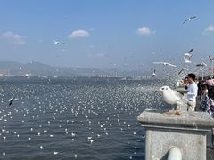 -滇池海埂公园