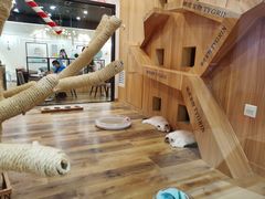 -袖虎·猫馆(体育西路店)