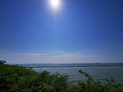 -贡湖湾湿地公园