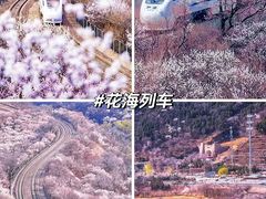 -国家植物园