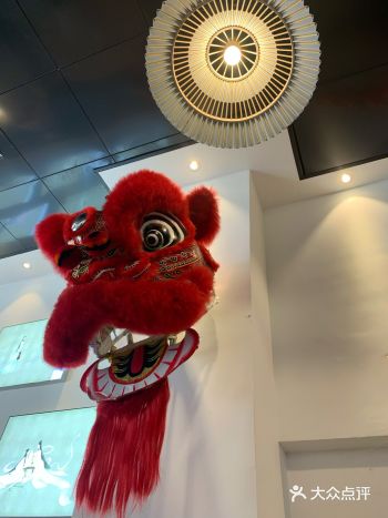 点了咖喱鱼蛋、花胶鸡河粉、云吞面、姜撞奶、陈皮红豆沙