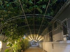 -大海别墅民宿农家院(十渡店)