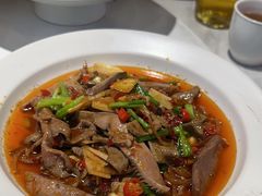 -新概念来凤鱼(璧山店)