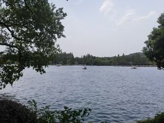 -浙江西子宾馆·瑶园咖啡厅