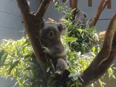 -永安鱼庄·镇江菜(丁卯店)