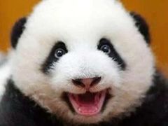 -周鱼小馆石锅酸菜鱼(活力汇店)