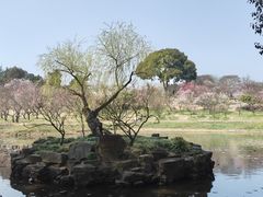 -无锡梅园公园