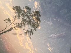 -泉州海丝野生动物世界