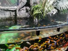 -太平洋海底世界