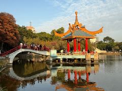 -金砂公园