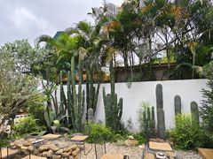 -自由生长植物工作室(深港花卉中心店)