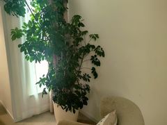 -壹点灵·心理咨询中心(前滩太古里店)