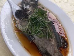 -老字号蛇口德记烧腊饭店·海鲜加工