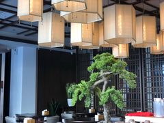 -扬州狮子楼·非遗淮扬菜(总店)