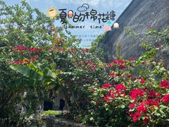 -三亚西岛海洋文化旅游区