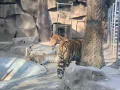 -荆州中山公园动物园