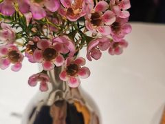 -Oyster Talks 四度蚝法餐厅