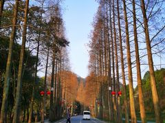 -青城山