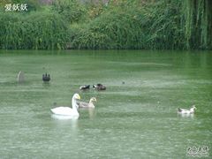 -曲江惠宾苑宾馆(大雁塔大唐不夜城店)