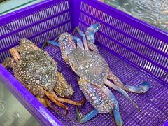 -拉威海鲜市场