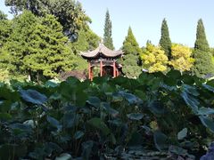 -晋祠公园
