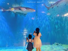 -华夏文旅海洋公园