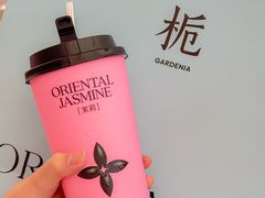 -茉莉奶白(天水秦州万达广场店)