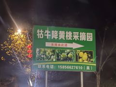 -石台牯牛降景区