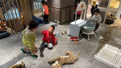 -奈尔宝·儿童乐园·亲子餐厅(华采天地店)