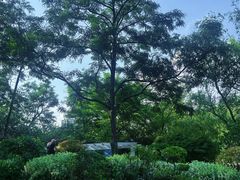 -北岭山森林公园
