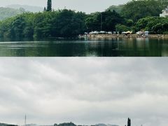 -天鹿湖森林公园