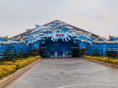 -石家庄极地海洋世界