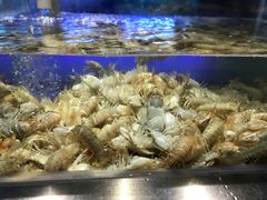 -V-ONE西雅图海鲜自助餐厅(仓山万达广场店)