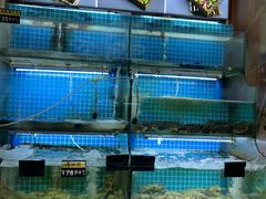 -老东镇啤酒屋海鲜加工·蒸汽海鲜·海鲜烧烤(台东店)