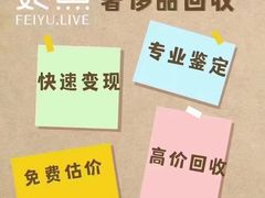 -妃鱼奢侈品回收寄卖(太古汇店)