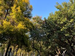 -广州雕塑公园
