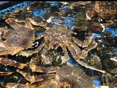 海鲜-盒马鲜生(皇庭广场店)