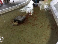 -广东花都香草世界旅游度假区