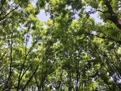 -西安曲江寒窑遗址公园