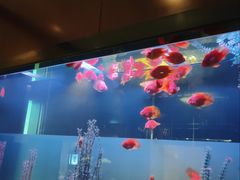 -九洲喜来登酒店湖月日餐厅