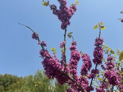 -白塘生态植物园